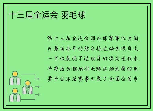 十三届全运会 羽毛球