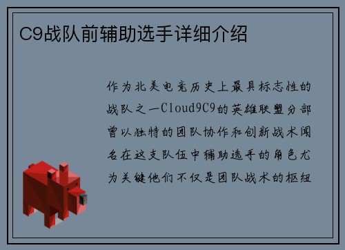 C9战队前辅助选手详细介绍